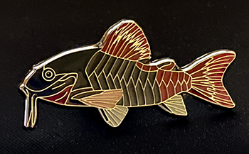 Catfish Brooch - Osteogaster hephaestus
