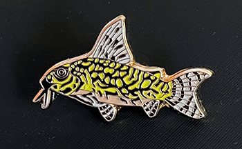 Catfish Brooch - Brochis geryi